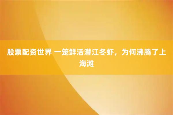 股票配资世界 一笼鲜活潜江冬虾，为何沸腾了上海滩